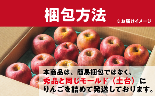 【12月27日締切】りんご サンふじ 5kg （12〜25玉） 訳あり 「 いいづな光選りんご 」 光センサー選果 2024年 令和6年 収穫分 《 ふじ リンゴ 林檎 ふじ 長野 長野県産 傷あり 規格外 訳アリ わけあり 果物 くだもの フルーツ お試し 》 R6年12月～R7年1月発送 長野県 飯綱町 いいづな 光選 りんご《沖縄県への配送不可》 [1903]