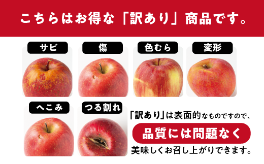 【12月27日締切】りんご サンふじ 10kg （ 24〜50玉 ） 訳あり 「 いいづな光選りんご 」 光センサー選果 2024年 令和6年 収穫分 《 ふじ リンゴ 林檎 ふじ 長野 長野県産 傷あり 規格外 訳アリ わけあり 果物 くだもの フルーツ お試し 》 R6年12月～R7年1月発送 長野県 飯綱町 いいづな 光選 りんご《沖縄県への配送不可》 [1904]