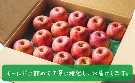 ＼農家応援企画 りんご／ サンふじ 3kg 秀 秀品 長野県 飯綱町産 令和8年度収穫分 【 リンゴ 林檎 ふじ 信州 長野 秀品 】 2026年11月下旬から2027年1月上旬頃までお申込み順に発送予定 沖縄および離島への配送不可 長野県 飯綱町 [1285]
