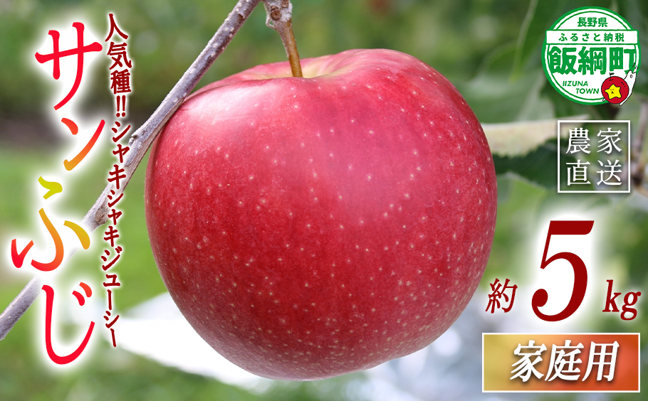 りんご サンふじ 家庭用 5kg 一里山農園 沖縄県への配送不可 2026年12月上旬頃から2026年12月中旬頃まで順次発送予定 令和8年度収穫分 エコファーマー 減農薬栽培 信州 果物 フルーツ リンゴ 林檎 長野 予約 農家直送 長野県 飯綱町 [1898]