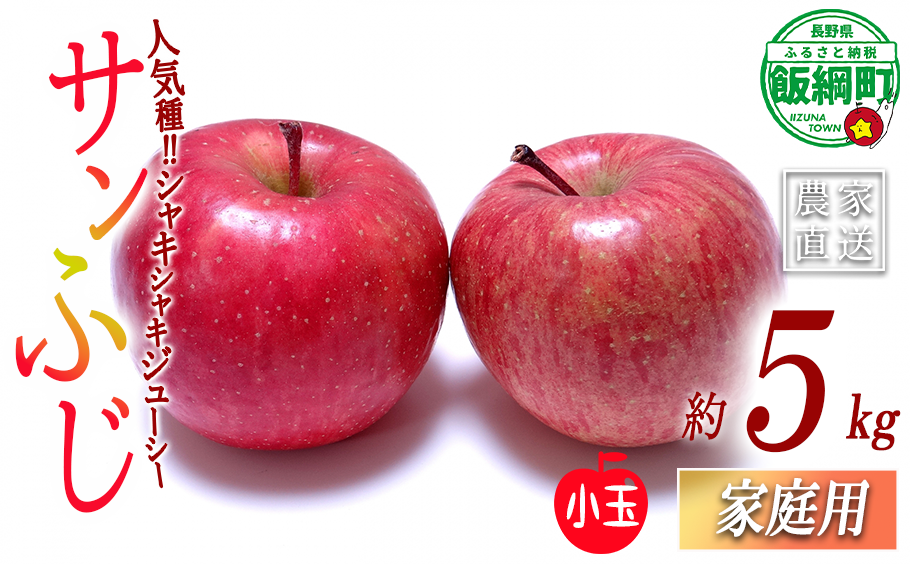 りんご サンふじ (小玉) 家庭用 5kg 一里山農園 沖縄県への配送不可 2026年12月上旬頃から2026年12月中旬頃まで順次発送予定 令和8年度収穫分 エコファーマー 減農薬栽培 信州 果物 フルーツ リンゴ 林檎 長野 予約 農家直送 長野県 飯綱町 [1899]