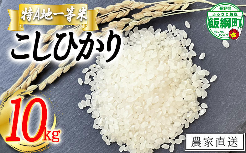 米 東風の里 コシヒカリ 10kg 令和6年産 特A地一等米 東風の会 2024年12月上旬頃から順次発送予定 お米 こしひかり 20500円 信州 長野県 飯綱町 [1912]