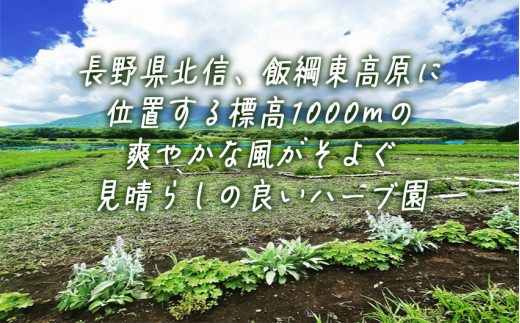 ハーブティー 6袋 ( 5 〜 8 g ) セット 飯綱ハーバルブリーズ 飲料 ハーブ ティー お茶 信州 長野県 飯綱町 [1923]