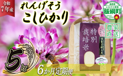 米 れんげそう こしひかり 5kg × 6回 【6ヶ月定期便】 ( 令和7年産 ) 特別栽培米 仲俣農園 2025年10月上旬頃から順次発送予定 コシヒカリ 白米 精米 お米 信州 159000円 予約 農家直送 長野県 飯綱町 [1927]