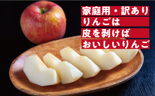 りんご サンふじ 訳あり ～ 家庭用 3kg マルハ農園 沖縄県への配送不可 2026年12月上旬頃から2026年12月中旬頃まで順次発送予定 令和8年度収穫分 エコファーマー認定 信州 果物 フルーツ リンゴ 林檎 長野 予約 農家直送 長野県 飯綱町 [1931]