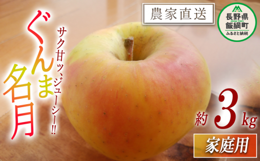 りんご ぐんま名月 3kg 家庭用 大友農場 沖縄へは配送不可  2025年11月上旬から発送予定 長野県 飯綱町 [1549]