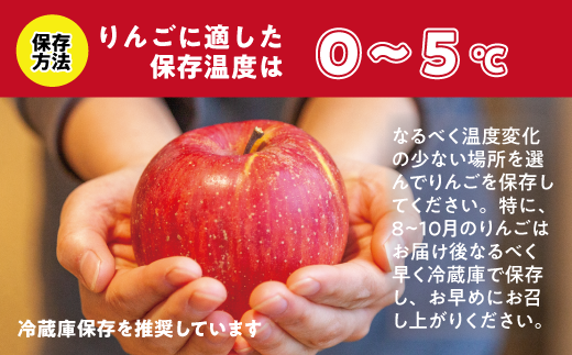 りんご シナノドルチェ 家庭用 5kg 菅谷さんのりんご 沖縄県への配送不可 2026年9月下旬頃から2026年10月上旬頃まで順次発送予定 令和8年度出荷分 信州 果物 フルーツ リンゴ 林檎 長野 予約 農家直送 長野県 飯綱町 [1447]