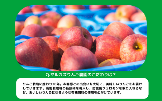 旬のりんご 【 定期便 】 家庭用 5kg × 2回 マルカズりんご農園 沖縄県への配送不可 2026年10月中旬頃から2026年12月上旬頃まで順次発送予定 令和8年度収穫分 減農薬栽培 予約 農家直送 長野県 飯綱町 [1935]