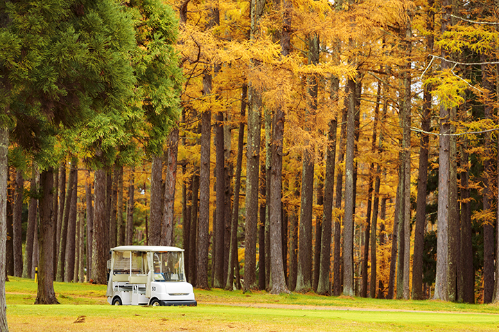 長野国際カントリークラブ ゴルフ プレー 優待券 ＜ 3,000円分 ＞ 複数口のお申込み可能 ネコポスにてお届け 長野国際CC 割引 お得 ゴルフ場 ゴルフクラブ 利用券 補助券 プレー券 平日 休日 女性 男性 チケット スポーツ 11500円 長野県 飯綱町 [1436]