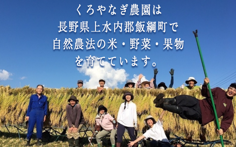 【 収穫体験 】 収穫体験　1時間（1名様からご家族までOK）お土産付き《 季節のお野菜の収穫 山菜採り 田植え 稲刈り 干し柿作り しいたけの駒打ち クワガタ虫捕り 》 くろやなぎ農園 長野県 飯綱町 [1984]