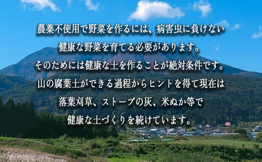野菜お楽しみ便（5種以上）くろやなぎ農園 沖縄県への配送不可 発送時期：2025年7月上旬～2025年11月下旬 [1983]
