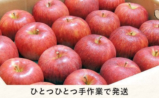 りんご サンふじ 秀 ～ 特秀 5kg 寺島農園 沖縄県への配送不可 2025年11月下旬頃から2026年2月上旬頃まで順次発送予定 令和7年度収穫分 信州 果物 フルーツ リンゴ 林檎 長野 予約 農家直送 長野県 飯綱町 [0313]