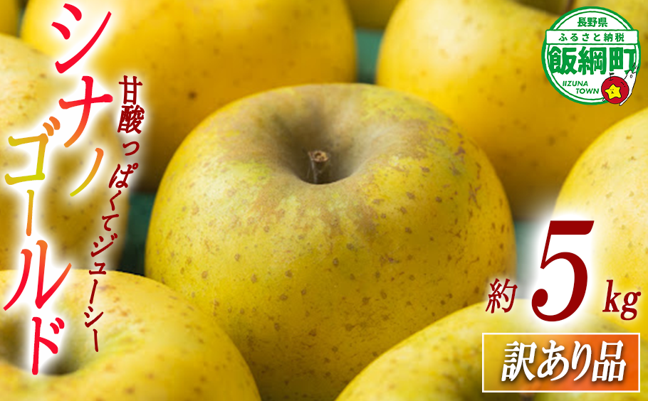 りんご シナノゴールド 5kg 訳あり ふるさと振興公社 沖縄へは配送不可  2025年11月上旬から発送予定 長野県 飯綱町 [2022]
