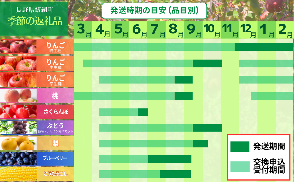 あとからセレクト 【ふるさとギフト】 ギフトポイント 寄附額 12000円分 あとから選べる返礼品 長野県 飯綱町 [2047]