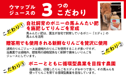 【 自社飼育 馬ふんたい肥 使用 】  UMAPPLEジュース ウマップルジュース サンふじ りんごジュース 250ml × 6本 酸化防止剤不使用 果汁100% 合同会社馬と 沖縄県への配送不可 飲料 果汁飲料 りんご リンゴ 林檎 ( サンふじ ) ジュース 信州 農家直送 ポニー エディ 長野県 飯綱町 [2071]