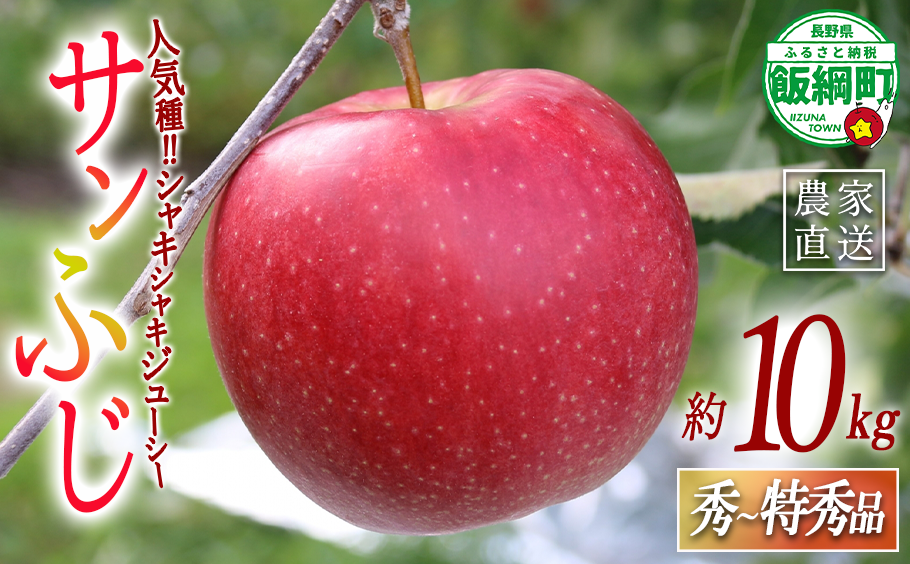 りんご サンふじ 秀 ～ 特秀 10kg 一里山農園 2026年12月上旬頃から2026年12月中旬頃まで順次発送予定 令和8年度収穫分 エコファーマー 減農薬栽培 信州 果物 フルーツ リンゴ 林檎 長野 予約 農家直送 長野県 飯綱町 [2104]