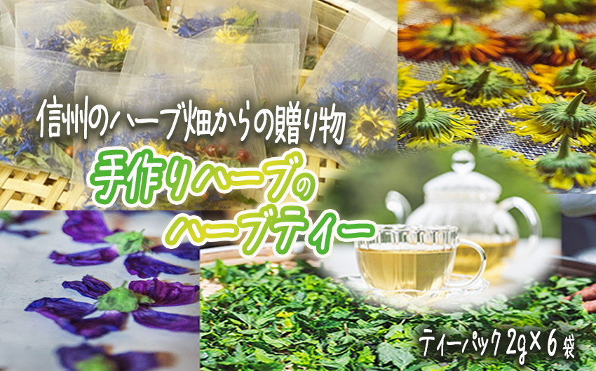 ティーバッグ （ 2g ） おまかせ 6袋セット 飯綱ハーバルブリーズ 飲料 ハーブ ティー お茶 信州 長野県 飯綱町 [2107]