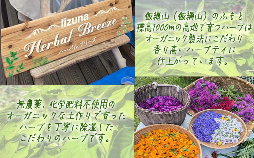 ティーバッグ （ 2g ） おまかせ 6袋セット 飯綱ハーバルブリーズ 飲料 ハーブ ティー お茶 信州 長野県 飯綱町 [2107]