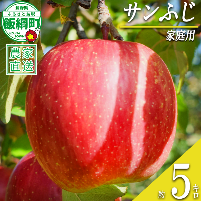 りんご サンふじ 家庭用 5kg 丸山りんご園 沖縄県への配送不可 2026年12月上旬頃から2027年1月上旬頃まで順次発送予定 令和8年度収穫分 信州 果物 フルーツ リンゴ 林檎 長野 予約 農家直送 長野県 飯綱町 [0710]