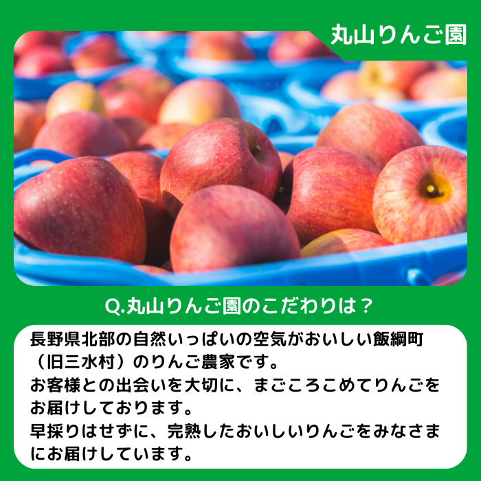 旬のりんご 【 定期便 】 秀～特秀 3kg × 3回 丸山りんご園 沖縄県への配送不可 2026年10月上旬頃から2026年12月下旬頃まで順次発送予定 令和8年度収穫分 信州 果物 フルーツ リンゴ 林檎 長野 予約 農家直送 長野県 飯綱町 [1833]