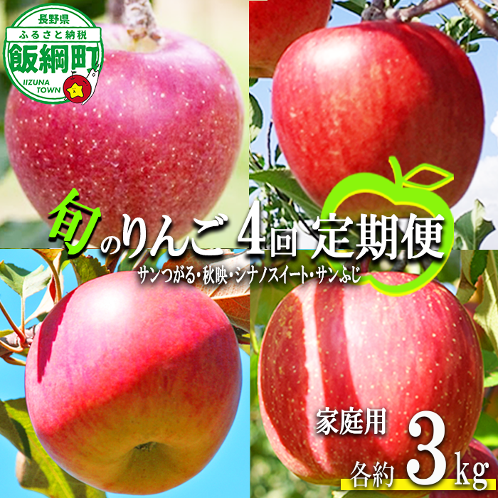 旬のりんご 【 定期便 】 家庭用 3kg × 4回 丸山りんご園 沖縄県への配送不可 2026年9月上旬頃から2026年12月中旬頃まで順次発送予定 令和8年度収穫分 信州 果物 フルーツ リンゴ 林檎 長野 予約 農家直送 長野県 飯綱町 [0709]