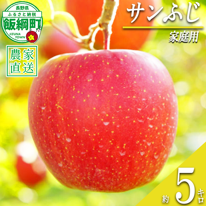 りんご サンふじ 家庭用 5kg 清次郎農園 沖縄県への配送不可 2026年12月上旬頃から2026年12月下旬頃まで順次発送予定 令和8年度収穫分 信州 果物 フルーツ リンゴ 林檎 長野 予約 農家直送 長野県 飯綱町 [2118]