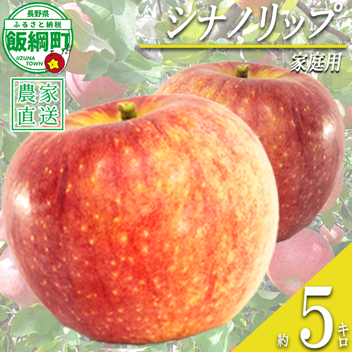 りんご 暑さに負けない シナノリップ 家庭用 5kg 大友農場 エコファーマー認定 沖縄県への配送不可 2026年8月中旬頃から2026年9月上旬頃まで順次発送予定 令和8年度収穫分 信州 果物 フルーツ リンゴ 林檎 長野 予約 農家直送 長野県 飯綱町 [1024]