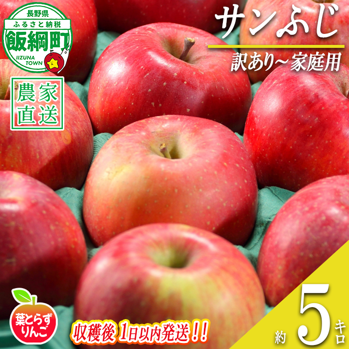 【 フレッシュ便 / 採れたて発送 】 りんご 葉とらず サンふじ 訳あり 5kg フレッシュフルーツミカズキ 2026年11月中旬頃から2026年11月下旬頃まで順次発送予定 令和8年度収穫分 傷 不揃い リンゴ 林檎 果物 フルーツ 信州 長野 予約 農家直送 長野県 飯綱町 [1674]