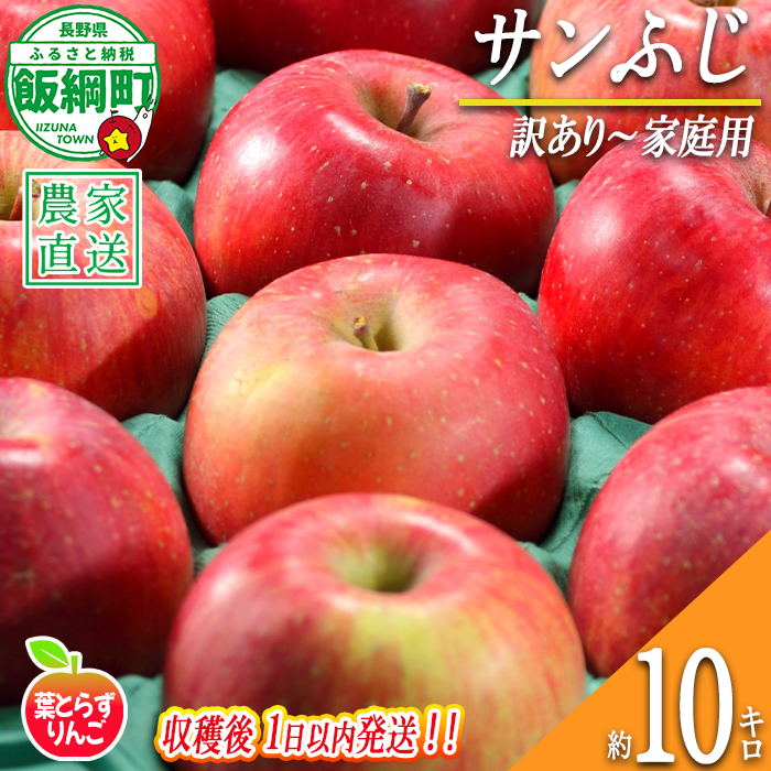 【 フレッシュ便 / 採れたて発送 】 りんご 葉とらず サンふじ 家庭用 〜 訳あり 10kg フレッシュフルーツミカズキ 2026年11月中旬頃から2026年11月下旬頃まで順次発送予定 令和8年度収穫分 傷 不揃い リンゴ 林檎 果物 フルーツ 信州 長野 予約 農家直送 長野県 飯綱町 [1675]