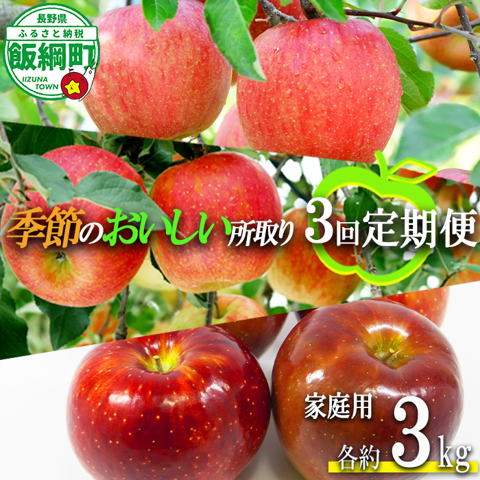 季節のおいしい所取りりんご 【 定期便 】 家庭用 3kg × 3回 大友農場 エコファーマー認定 沖縄県への配送不可 2026年8月中旬頃から2026年12月下旬頃まで順次発送予定 令和8年度収穫分 信州 果物 フルーツ リンゴ 林檎 長野 予約 農家直送 長野県 飯綱町 [1839]