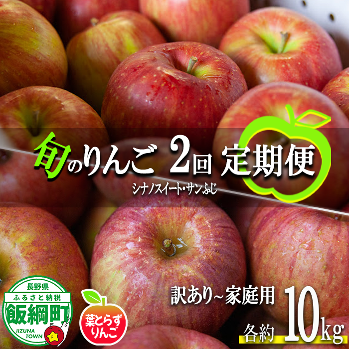 旬のりんご 【 定期便 】 家庭用 〜 訳あり 10kg × 2回 葉とらずりんご フレッシュフルーツミカズキ 2026年10月中旬頃から2026年12月中旬頃までお申込み順に発送予定 令和8年度収穫分 リンゴ アップル シナノスイート サンフジ サンふじ 長野県 飯綱町 [2009]