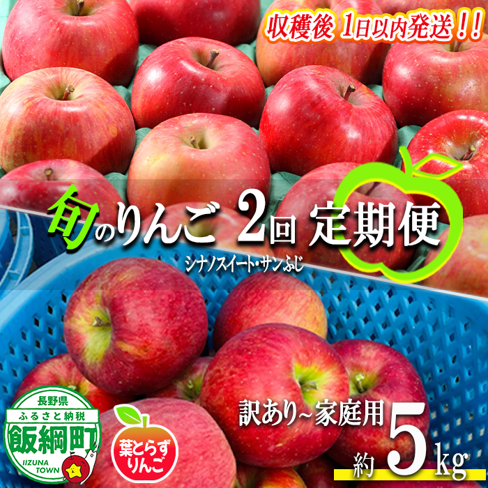 【 定期便 / フレッシュ便 】 旬のりんご 家庭用 〜 訳あり 5kg × 2回 葉とらずりんご フレッシュフルーツミカズキ 沖縄県への配送不可 2026年10月中旬頃から2026年12月中旬頃までお申込み順に発送予定 令和8年度収穫分 リンゴ アップル シナノスイート サンフジ サンふじ 長野県 飯綱町 [2011]