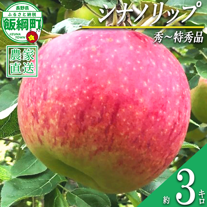 りんご シナノリップ 秀 ～ 特秀 3kg サイズおまかせ 井澤農園 沖縄県への配送不可 2026年8月中旬頃から2026年9月中旬頃まで順次発送予定 令和8年度収穫分 エコファーマー認定 減農薬栽培 化学肥料不使用 信州 果物 フルーツ リンゴ 林檎 長野 予約 農家直送 長野県 飯綱町 [0873]