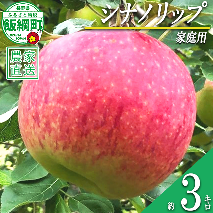 りんご シナノリップ 家庭用 3kg サイズおまかせ 井澤農園 沖縄県への配送不可 2026年8月中旬頃から2026年9月中旬頃まで順次発送予定 令和8年度収穫分 エコファーマー認定 減農薬栽培 化学肥料不使用 信州 果物 フルーツ リンゴ 林檎 長野 予約 農家直送 長野県 飯綱町 [0874]