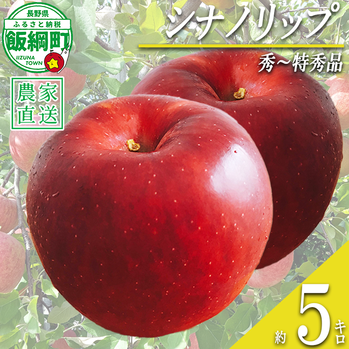 りんご シナノリップ 秀 〜 特秀 5kg 若林農園 沖縄県への配送不可 2026年8月中旬頃から2026年8月下旬頃まで順次発送予定 令和8年度収穫分 信州 果物 フルーツ リンゴ 林檎 長野 予約 農家直送 長野県 飯綱町 [2119]