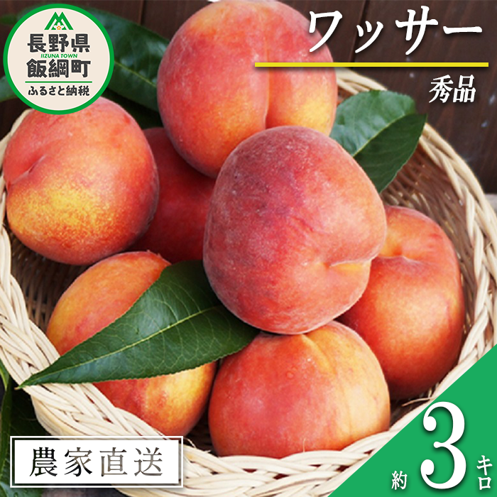 もも 完熟 ワッサー 秀品 3kg サイズおまかせ 井澤農園 配送先は本州限定 2026年8月上旬頃から2026年9月上旬頃まで順次発送予定 令和8年度収穫分 エコファーマー認定 信州 果物 フルーツ モモ 桃 長野 予約 農家直送 長野県 飯綱町 [1393]