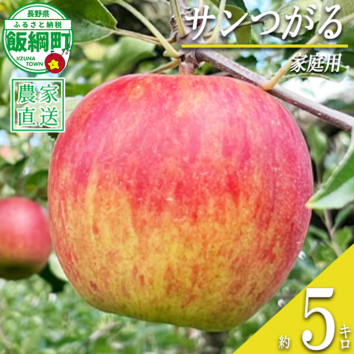 りんご サンつがる 家庭用 5kg 若林農園 沖縄県への配送不可 2026年8月下旬頃から2026年9月上旬頃まで順次発送予定 令和8年度収穫分 信州 果物 フルーツ リンゴ 林檎 長野 予約 農家直送 長野県 飯綱町 [2122]