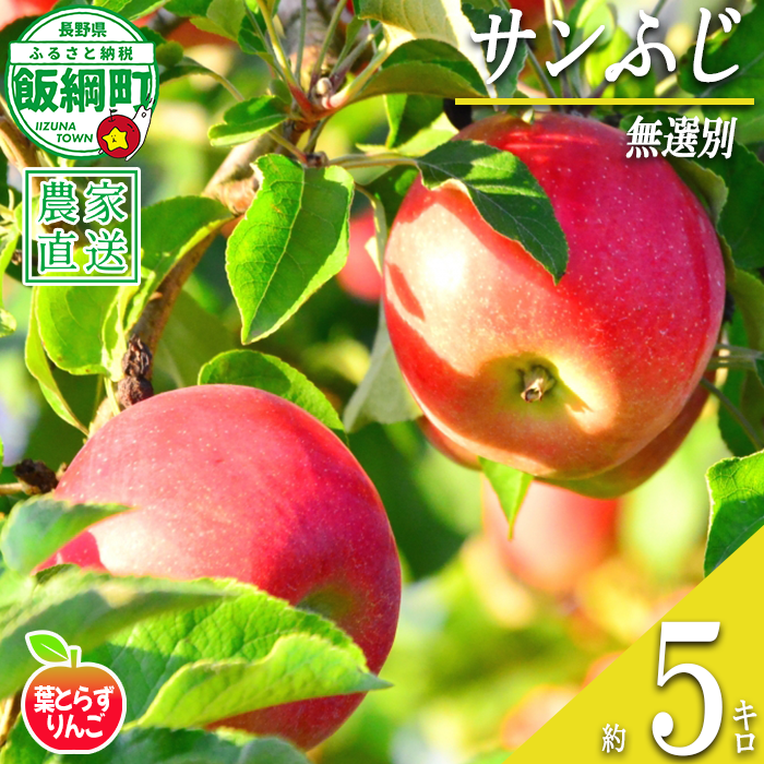 りんご サンふじ 葉とらず 無選別 5kg エバラ農園 減農薬栽培 沖縄県への配送不可 2026年11月中旬頃から2027年1月上旬頃まで順次発送予定 令和8年度収穫分 信州 果物 フルーツ リンゴ 林檎 長野 予約 農家直送 長野県 飯綱町 [1817]