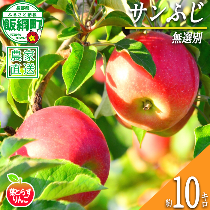 りんご サンふじ 葉とらず 無選別 10kg エバラ農園 減農薬栽培 2026年11月中旬頃から2027年1月上旬頃まで順次発送予定 令和8年度収穫分 信州 果物 フルーツ リンゴ 林檎 長野 予約 農家直送 長野県 飯綱町 [1818]
