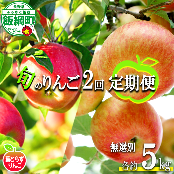 旬のりんご 【 定期便 】 葉とらず 無選別 5kg × 2回 エバラ農園 減農薬栽培 沖縄県への配送不可 2026年10月中旬頃から2026年11月下旬頃まで順次発送予定 令和8年度収穫分 長野県 飯綱町 [1881]