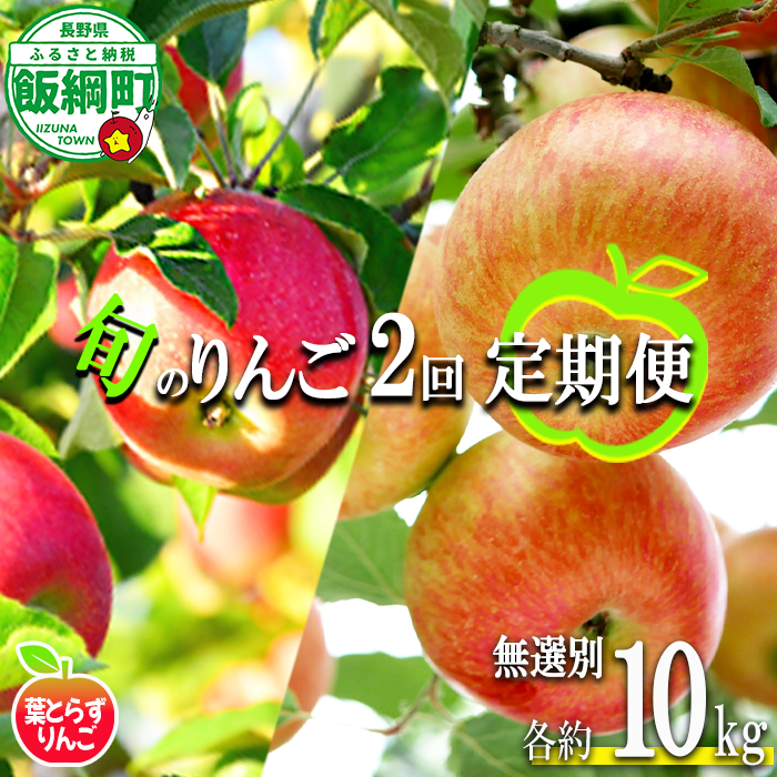旬のりんご 【 定期便 】 葉とらず 無選別 10kg × 2回 エバラ農園 減農薬栽培 2026年10月中旬頃から2026年11月下旬頃まで順次発送予定 令和8年度収穫分 長野県 飯綱町 [1951]