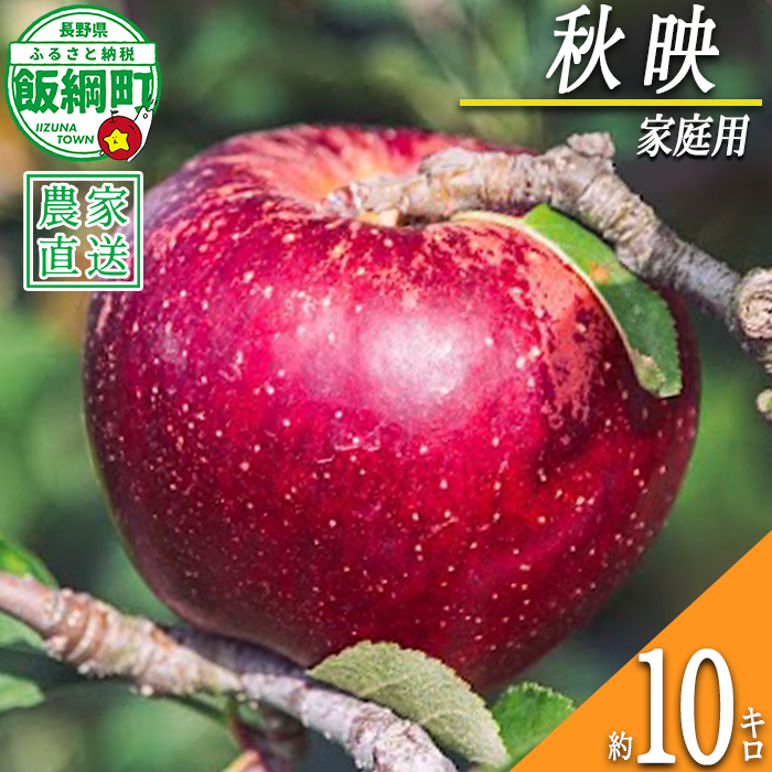 りんご 秋映 家庭用 10kg 信州いいづな 相澤農園株式会社 2026年9月下旬頃から2026年10月中旬頃まで順次発送予定 令和8年度収穫分 長野県 飯綱町 [1962]