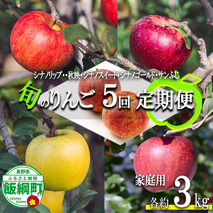 旬のりんご 【 定期便 】 家庭用 3kg × 5回 信州いいづな 相澤農園株式会社 沖縄県への配送不可 2026年9月上旬頃から2026年12月中旬頃まで順次発送予定 令和8年度収穫分 長野県 飯綱町 [1858]