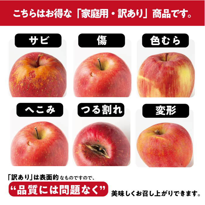 旬のりんご 【 定期便 】 家庭用 3kg ×3回 信州いいづな 相澤農園株式会社 沖縄県への配送不可 2026年10月中旬頃から2026年12月中旬頃まで順次発送予定 令和8年度収穫分 長野県 飯綱町 [1963]