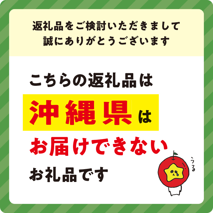 旬のりんご 【 定期便 】 家庭用 5kg ×3回 信州いいづな 相澤農園株式会社 沖縄県への配送不可 2026年10月中旬頃から2026年12月中旬頃まで順次発送予定 令和8年度収穫分 長野県 飯綱町 [1964]