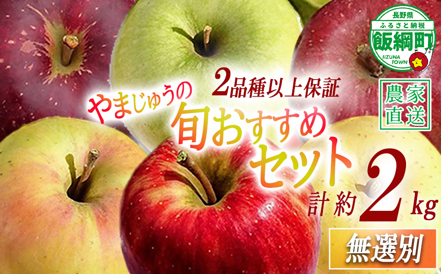 りんご 2品種以上保証 旬のおすすめ 2kg 詰め合わせ セット やまじゅうファーム 沖縄県への配送不可 2026年10月上旬頃から2026年12月下旬頃まで順次発送予定 令和8年度収穫分 信州の環境にやさしい農産物 減農薬栽培 長野県 飯綱町 [1799]