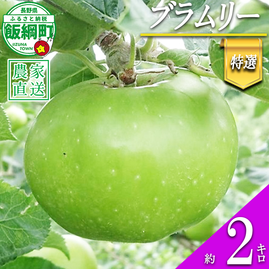 りんご ブラムリー 特選 2kg やまじゅうファーム 沖縄県への配送不可 2026年8月中旬頃から2026年9月上旬頃まで順次発送予定 信州の環境にやさしい農産物 減農薬栽培 令和8年度収穫分 長野県 飯綱町 [0852]