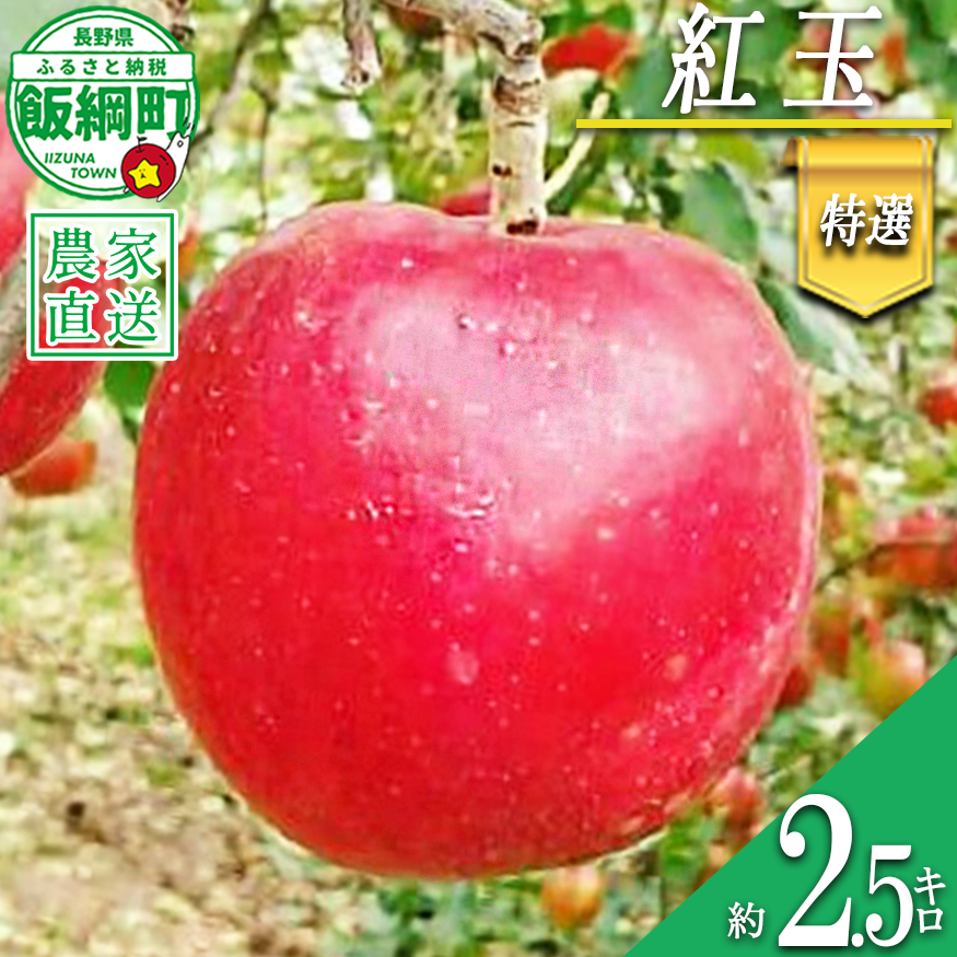 りんご 紅玉 特選 2.5kg やまじゅうファーム 沖縄県への配送不可 2026年10月上旬頃から2026年10月中旬頃まで順次発送予定 令和8年度収穫分 信州の環境にやさしい農産物 減農薬栽培 長野県 飯綱町 [1536]