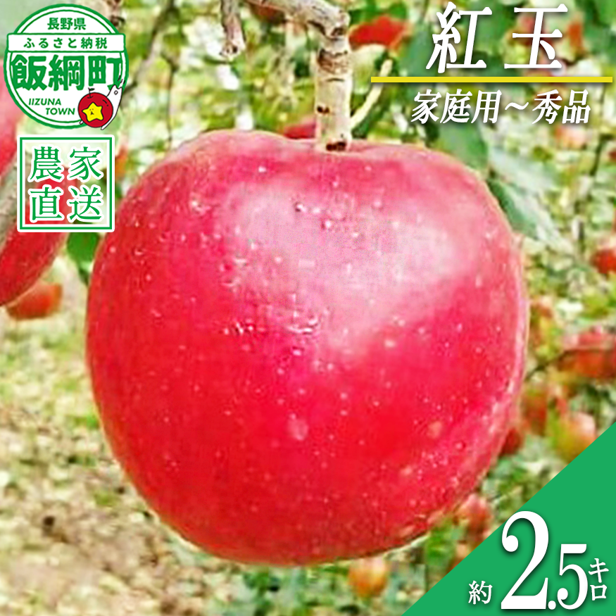 りんご 紅玉 家庭用 〜 秀 2.5kg やまじゅうファーム 沖縄県への配送不可 2026年10月上旬頃から2026年10月旬下旬頃まで順次発送予定 令和8年度収穫分 信州の環境にやさしい農産物 減農薬栽培 長野県 飯綱町 [2117]