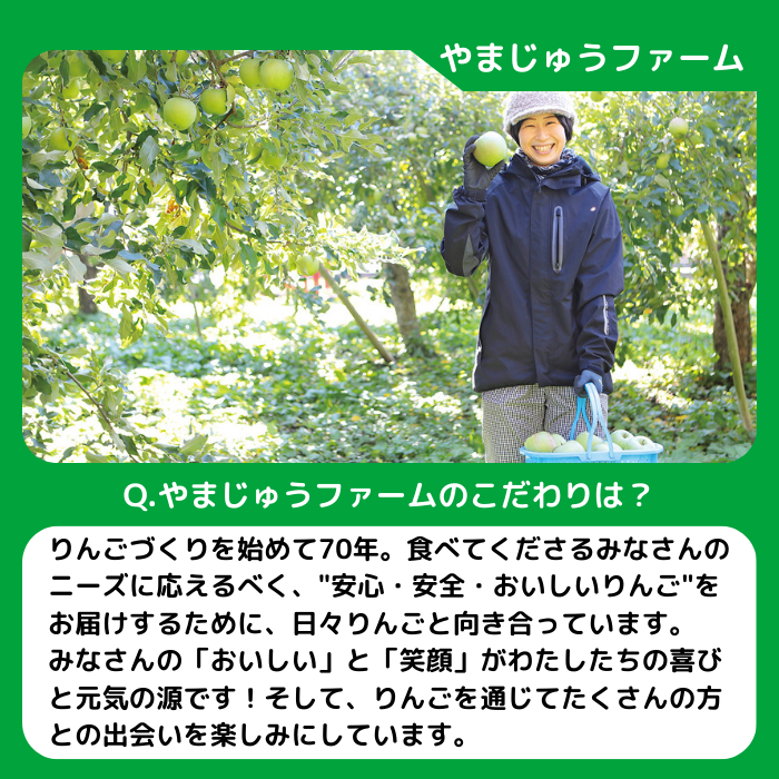 りんご 紅玉 家庭用 〜 秀 2.5kg やまじゅうファーム 沖縄県への配送不可 2026年10月上旬頃から2026年10月旬下旬頃まで順次発送予定 令和8年度収穫分 信州の環境にやさしい農産物 減農薬栽培 長野県 飯綱町 [2117]